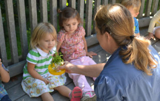 children looking at a plant