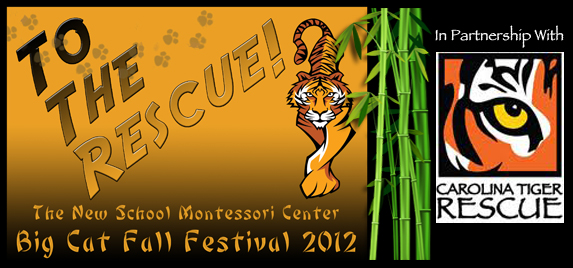 fall-festival-site-banner