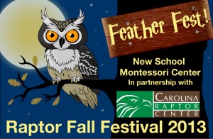 Banner for Fall Festival with owl sitting on a branch with moon behind and starry sky with details of dates