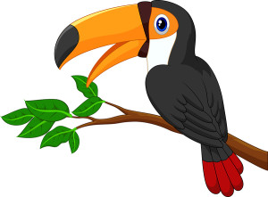 black and white toucan with orange bill sitting on branch