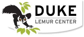 Duke Lemur Center logo has a lemur and green leaves with Duke Lemur Center