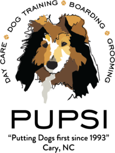 Pupsi
