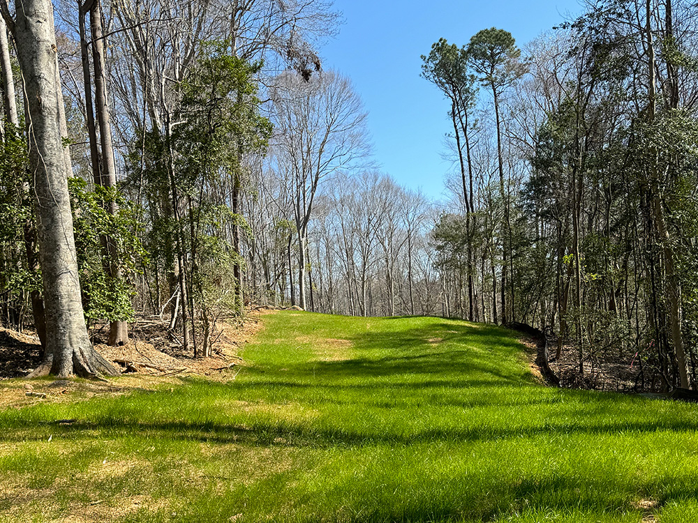 campus improvement for The New School pathway