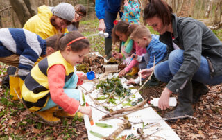 Children and teachers kneel on the forest floor, examining leaves, logs, and soil as part of a hands-on outdoor science exploration.