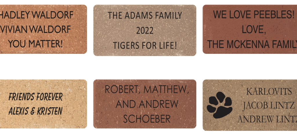picture of 6 engraved bricks for a fundrasier