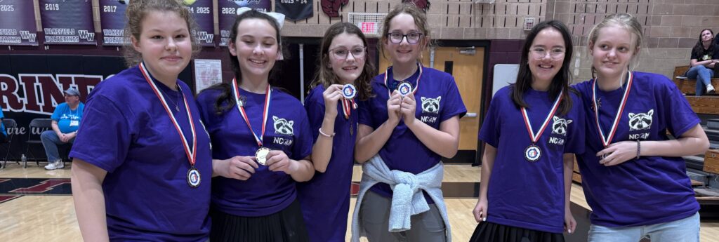 The New School Odyssey of the Mind team