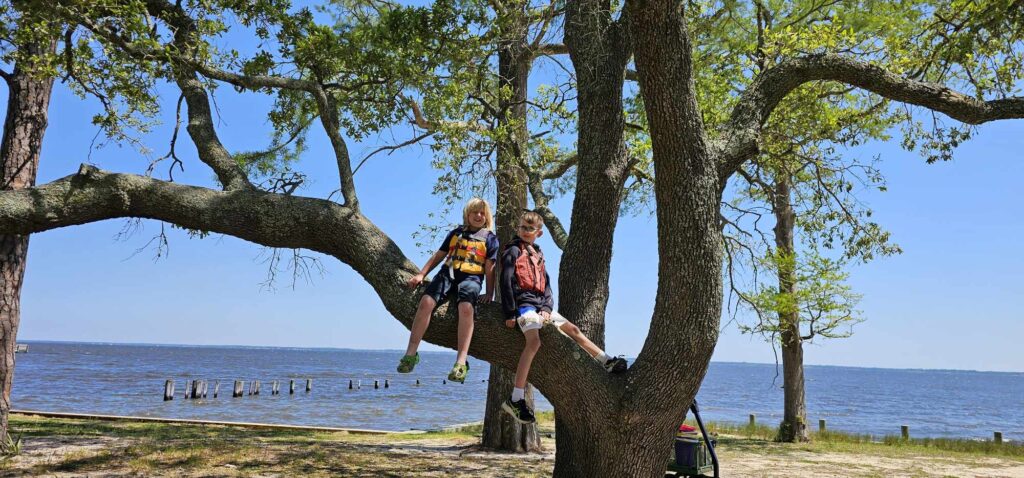 two boys in a tree at Camp Don Lee